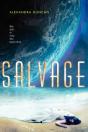 Salvage - Preview