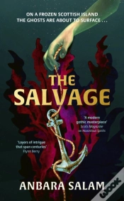 Capa do artigo Salvage