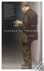 Capa do artigo Salvage At Twilight