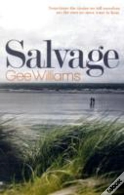 Capa do artigo Salvage