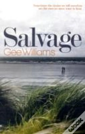 Capa do artigo Salvage