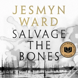 Capa do artigo Salvage The Bones