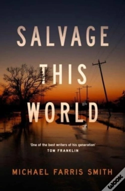 Capa do artigo Salvage This World
