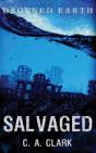 Salvaged - Preview