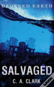 Capa do artigo Salvaged