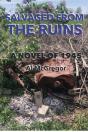 Salvaged From The Ruins - Preview