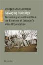 Salvaging Buildings - Preview
