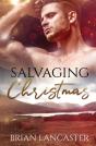 Salvaging Christmas - Preview