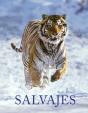 Salvajes - Preview