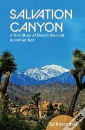 Capa do artigo Salvation Canyon