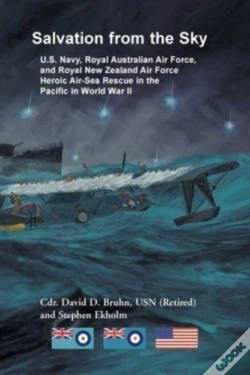 Capa do artigo Salvation From The Sky