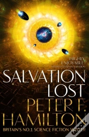 Capa do artigo Salvation Lost