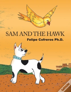 Capa do artigo Sam And The Hawk