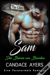 Capa do artigo Sam