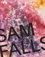 Sam Falls - Preview
