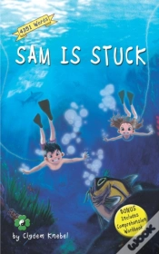 Capa do artigo Sam Is Stuck