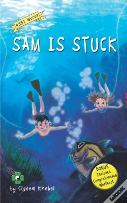 Capa do artigo Sam Is Stuck