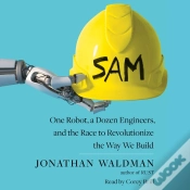 Capa do artigo Sam