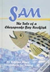 Capa do artigo Sam