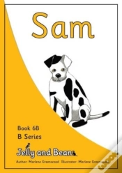Capa do artigo Sam