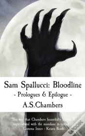 Capa do artigo Sam Spallucci