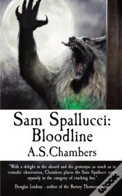 Capa do artigo Sam Spallucci