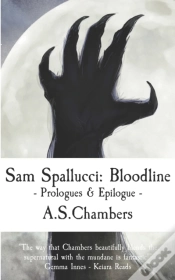 Capa do artigo Sam Spallucci