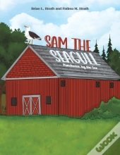 Sam The Seagull