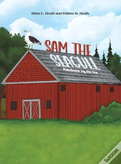Capa do artigo Sam The Seagull