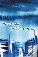Same City, Different Storm