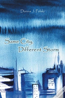 Capa do artigo Same City, Different Storm
