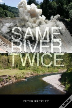Capa do artigo Same River Twice