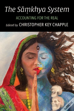Capa do artigo Samkhya System