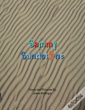 Sammy Sandstone