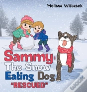 Capa do artigo Sammy