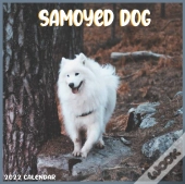 Samoyed Dog 2022 Calendar