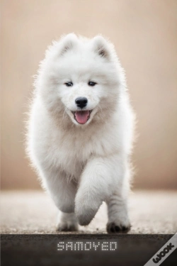 Capa do artigo Samoyed