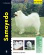 Samoyedo - Preview