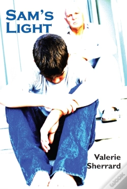 Capa do artigo Sam'S Light