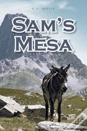 Capa do artigo Sam