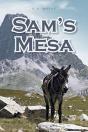 Sam'S Mesa - Preview