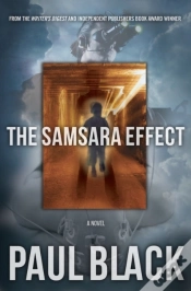 Capa do artigo Samsara Effect