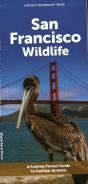 San Francisco Wildlife - Preview