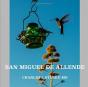 San Miguel De Allende - Preview