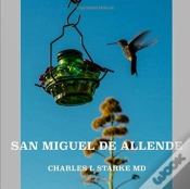 Capa do artigo San Miguel De Allende