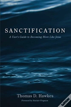 Capa do artigo Sanctification