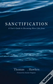 Capa do artigo Sanctification