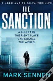Capa do artigo Sanction