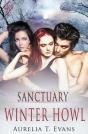 Sanctuary - Preview