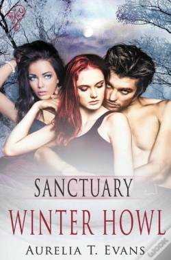 Capa do artigo Sanctuary